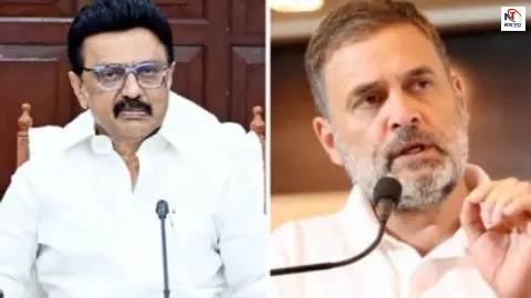 लो... हो गया खेला! स्टालिन ने कांग्रेस को 28 पर समेटा, तमिलनाडु की सियासत में बड़ा उलटफेर!