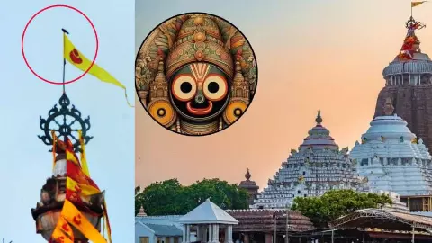 जगन्नाथ मंदिर में ‘अशुभ संकेत’? ध्वज पर बैठा बाज बना रहस्य, भविष्य मालिका से जुड़ी चर्चाएं
