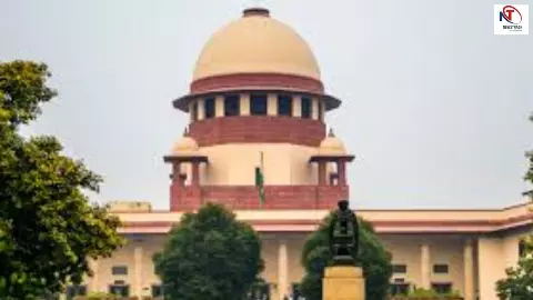 आधी रात को ड्राफ्ट करते हो क्या? शराब और भोजन पर वकील की याचिका देख भड़के CJI, लगाई जबरदस्त क्लास