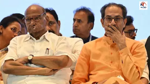 शरद पवार की जीत से सहमे उद्धव ठाकरे? राज्यसभा चुनाव के बाद क्यों सता रहा है धोखे का डर! शरद पवार की जीत से सहमे उद्धव ठाकरे? राज्यसभा चुनाव के बाद क्यों सता रहा है धोखे का डर!