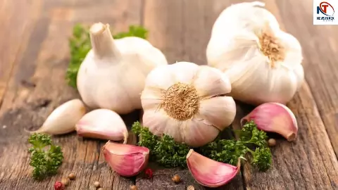 Garlic With Honey Benefits Garlic With Honey Benefits