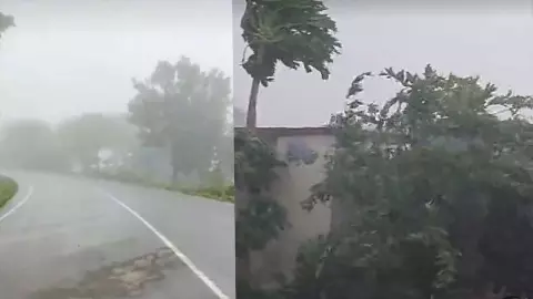 Unseasonal rainfall in Tarai, farmers worried, roads slippery
