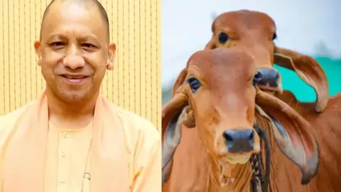 CM Yogi Adityanath