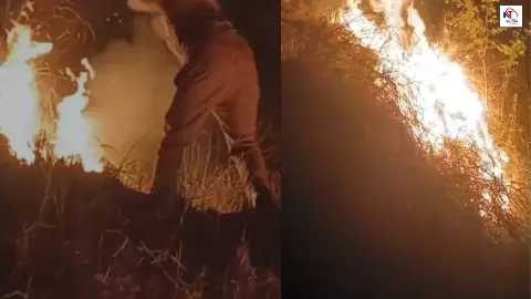 Firozabad News: चंद्रवार के जंगल में भीषण आग, 3 किलोमीटर तक फैली लपटें, इलाके में हड़कंप