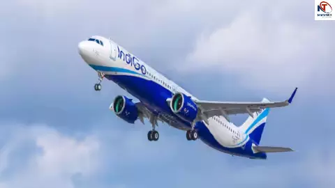 Indigo Flight News