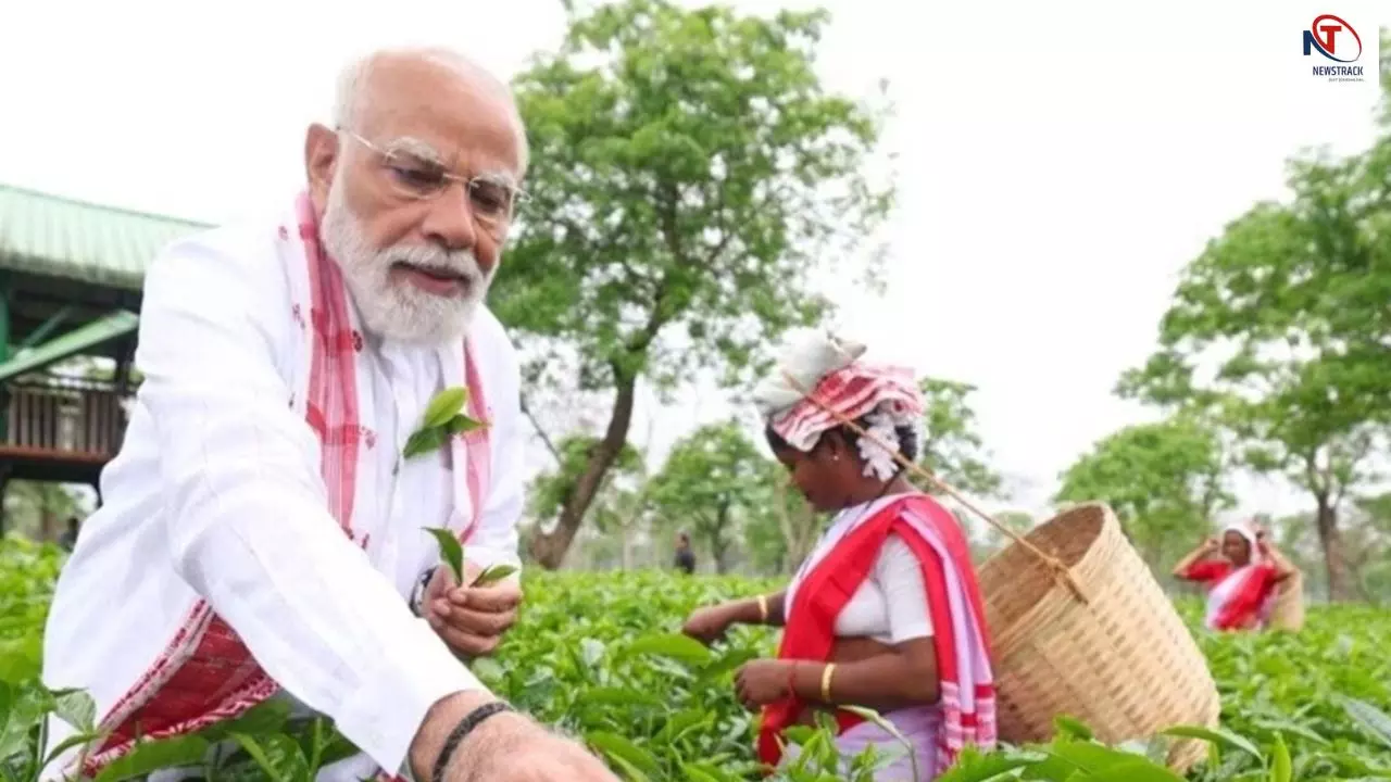 असम चुनाव से पहले BJP का बड़ा दांव! चाय बागानों तक पहुंचे पीएम मोदी, माहौल गरमाया