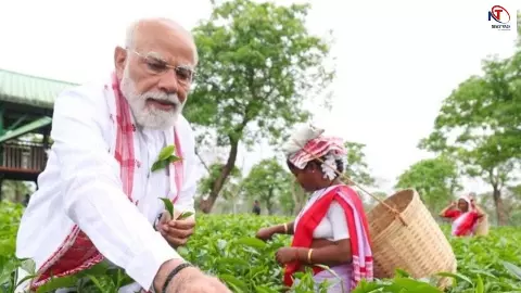 असम चुनाव से पहले BJP का बड़ा दांव! चाय बागानों तक पहुंचे पीएम मोदी, माहौल गरमाया असम चुनाव से पहले BJP का बड़ा दांव! चाय बागानों तक पहुंचे पीएम मोदी, माहौल गरमाया
