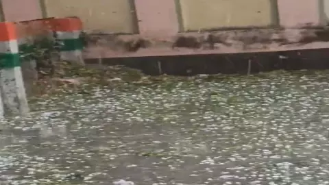 Hailstorm damages crops in Jaloun, administration alerts, revenue teams reach villages Hailstorm damages crops in Jaloun, administration alerts, revenue teams reach villages