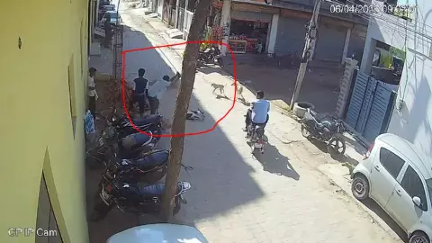लखनऊ में दिल दहला देने वाली घटना: रिटायर्ड फौजी ने कुत्ते को बेरहमी से पीटा, CCTV वायरल लखनऊ में दिल दहला देने वाली घटना: रिटायर्ड फौजी ने कुत्ते को बेरहमी से पीटा, CCTV वायरल