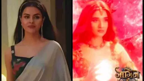 Naagin 7 Maha Twist Naagin 7 Maha Twist