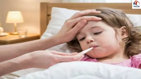 Typhoid Causes Typhoid Causes