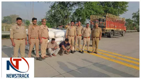 Mathura News:  यमुना एक्सप्रेसवे पर 1.16 करोड़ का डोडा जब्त, दो तस्कर गिरफ्तार