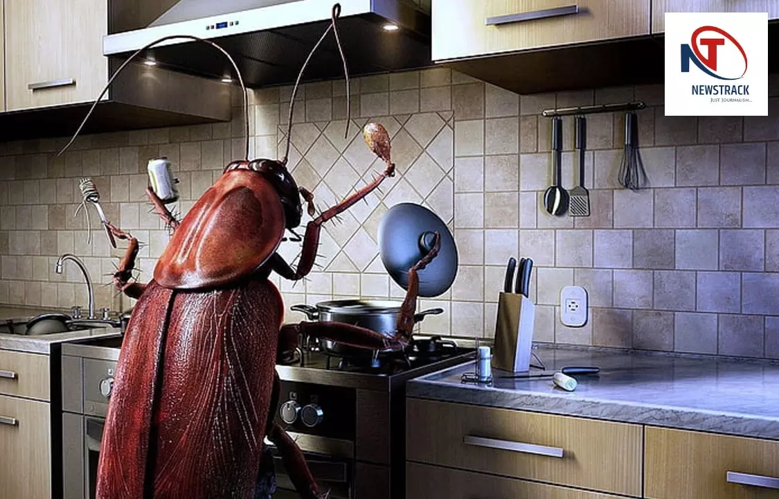 Kitchen Tips