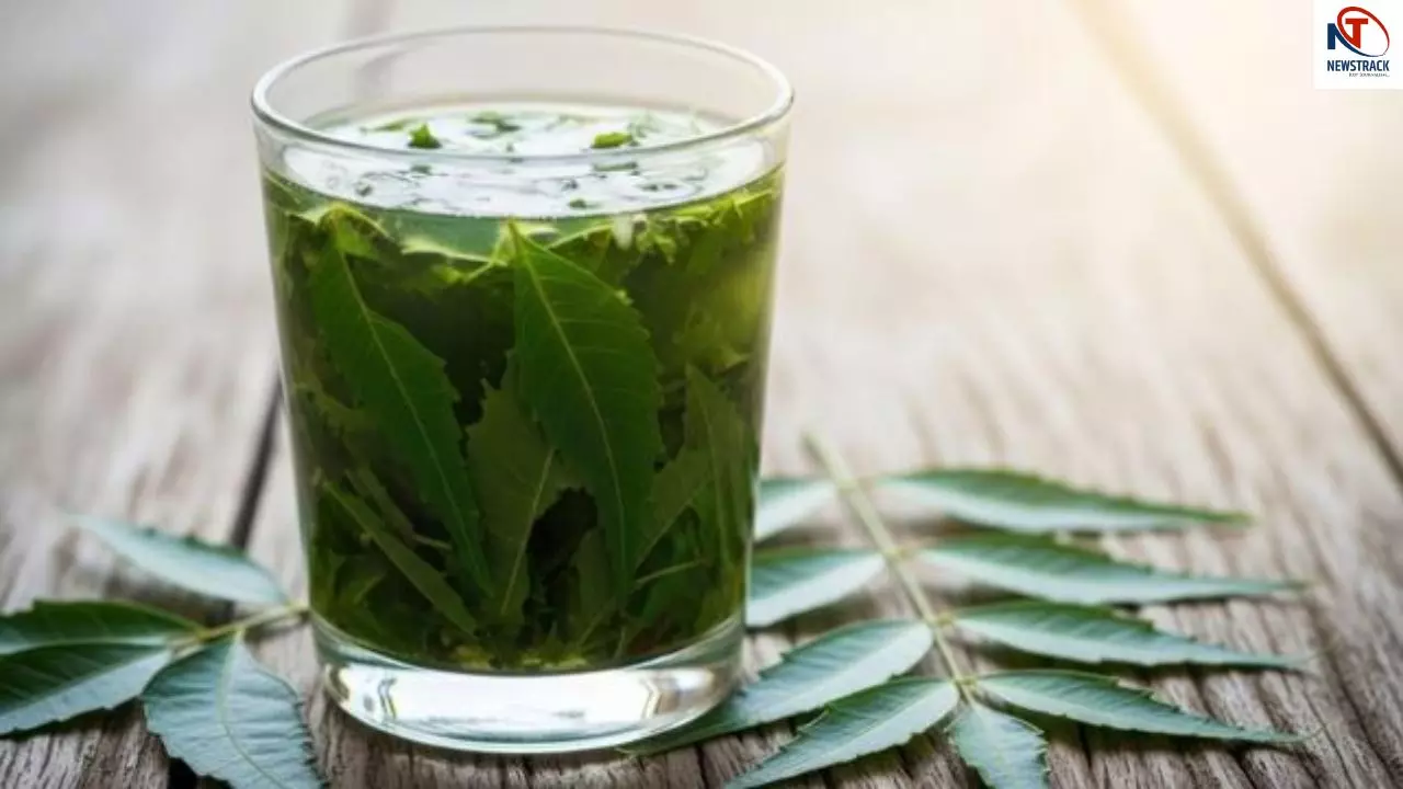 Neem Benefits For Liver Neem Benefits For Liver
