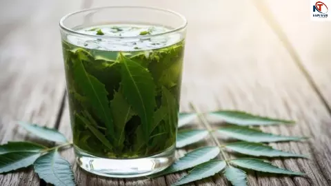 Neem Benefits For Liver