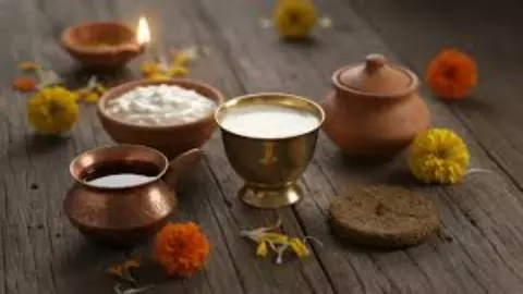 Panchagavya Panchagavya