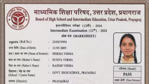 UP Board 12th Topper 2026: सीतापुर की शिखा वर्मा बनीं प्रदेश टॉपर, 97.60% अंकों के साथ किया टॉप UP Board 12th Topper 2026: सीतापुर की शिखा वर्मा बनीं प्रदेश टॉपर, 97.60% अंकों के साथ किया टॉप