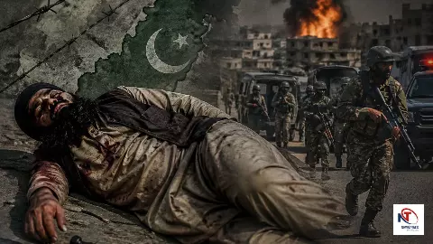 Lashkar-e-Taiba Commander Killed