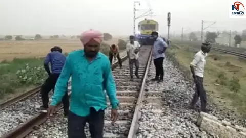 Punjab News Punjab News