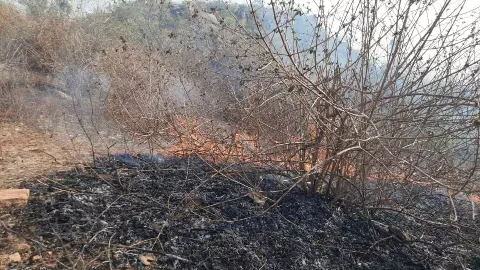 Mahoba News: महोबा के छतरवारा के प्राचीन पहाड़ पर भीषण आग, घंटों की मशक्कत के बाद काबू