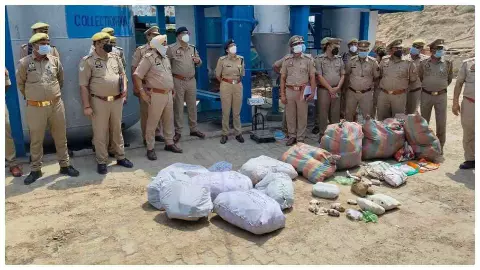 Kanpur Dehat ऑपरेशन दहन में 1.34 करोड़ के नशीले पदार्थ नष्ट, कानपुर देहात पुलिस की बड़ी कार्रवाई Kanpur Dehat ऑपरेशन दहन में 1.34 करोड़ के नशीले पदार्थ नष्ट, कानपुर देहात पुलिस की बड़ी कार्रवाई