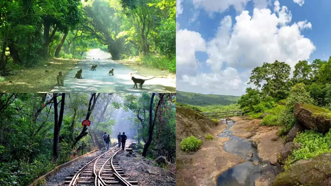 sgnp price hike mumbai park annual pass 10000 morning walk fees increase