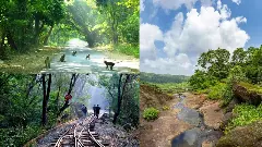 sgnp price hike mumbai park annual pass 10000 morning walk fees increase sgnp price hike mumbai park annual pass 10000 morning walk fees increase
