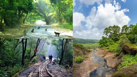 sgnp price hike mumbai park annual pass 10000 morning walk fees increase