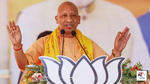 BJP Victory BJP Victory