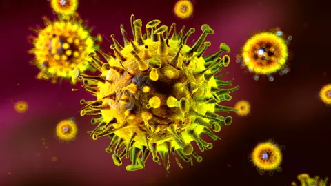 Hantavirus Outbreak