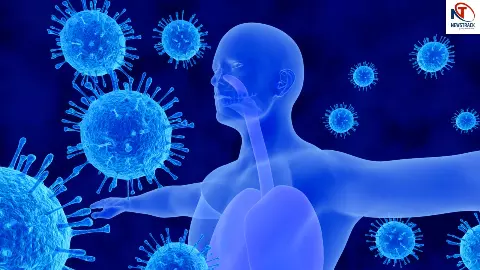 Boost Immune System Tips Boost Immune System Tips