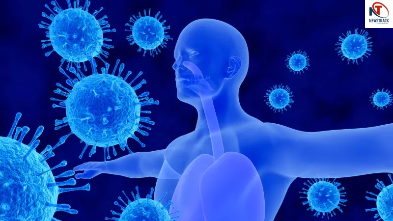 Boost Immune System Tips Boost Immune System Tips