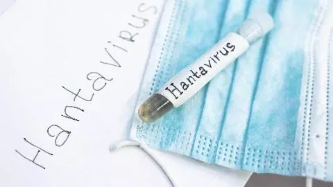 Hantavirus Outbreak