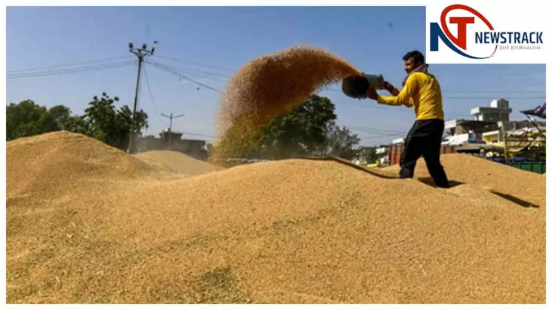 Madhya Pradesh News : मध्य प्रदेश में गेहूं किसानों को 10 हजार करोड़ से ज्यादा का भुगतान जारी Madhya Pradesh News : मध्य प्रदेश में गेहूं किसानों को 10 हजार करोड़ से ज्यादा का भुगतान जारी