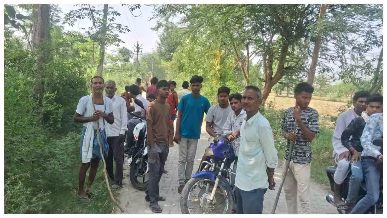 Lakhimpur Kheri News : धौरहरा में पागल सियार का आतंक, हमले में घायल राम सिंह की इलाज के दौरान मौत Lakhimpur Kheri News : धौरहरा में पागल सियार का आतंक, हमले में घायल राम सिंह की इलाज के दौरान मौत