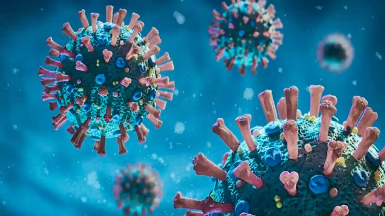 New Coronavirus Variant: वैज्ञानिकों ने खोजा कोरोना का नया वैरिएंट, हंटा वायरस के कहर बीच बढ़ी टेंशन, जानिए कितना खतरनाक