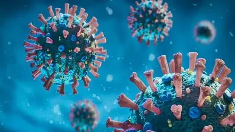 New Coronavirus Variant: वैज्ञानिकों ने खोजा कोरोना का नया वैरिएंट, हंटा वायरस के कहर बीच बढ़ी टेंशन, जानिए कितना खतरनाक New Coronavirus Variant: वैज्ञानिकों ने खोजा कोरोना का नया वैरिएंट, हंटा वायरस के कहर बीच बढ़ी टेंशन, जानिए कितना खतरनाक