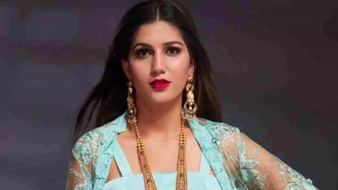 Sapna Choudhary Divorce
