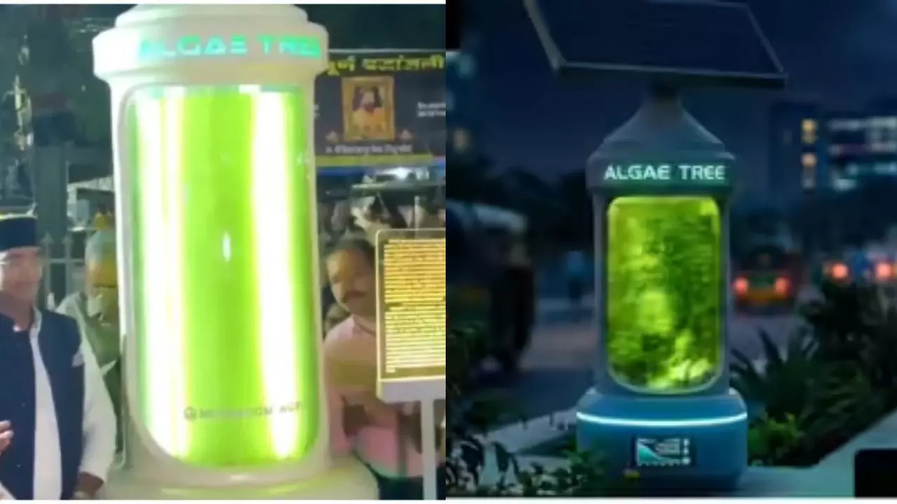 Bhopal algae tree green technology air pollution control smart city project equivalent 25 trees