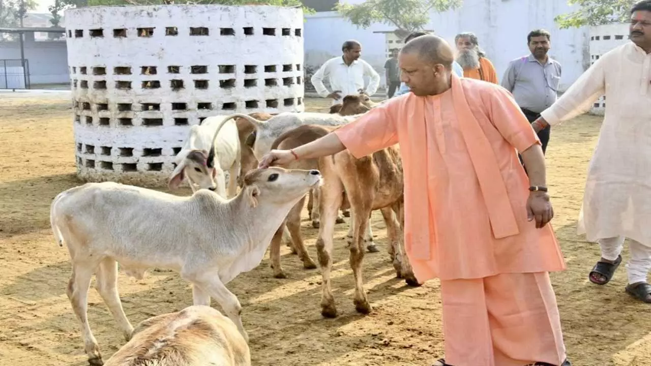Yogi Adityanath Government News Yogi Adityanath Government News