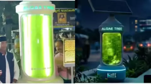 Bhopal algae tree green technology air pollution control smart city project equivalent 25 trees