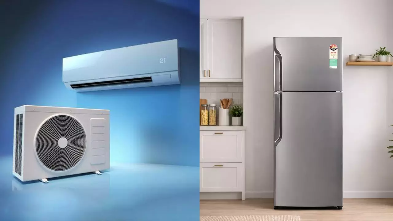 AC fridge price relief government customs duty exemption till 2027 India Hindi AC fridge price relief government customs duty exemption till 2027 India Hindi