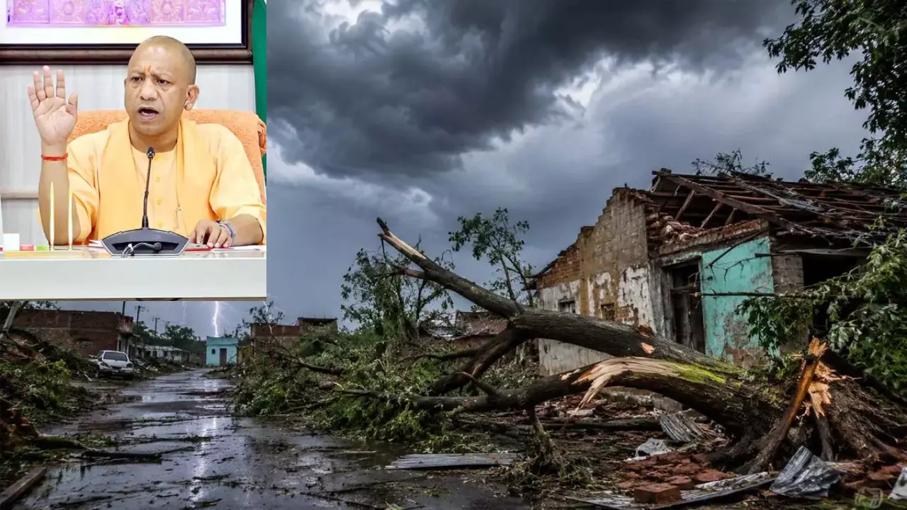 UP Disaster Relief UP Disaster Relief
