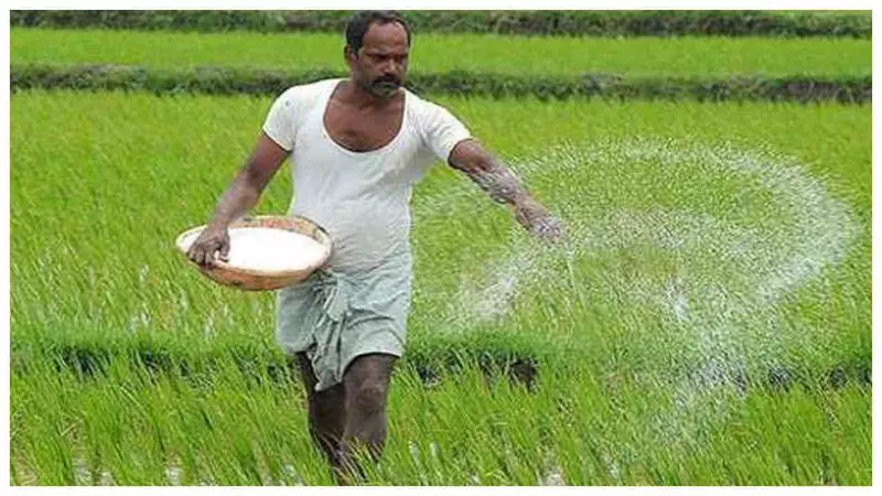 Madhya Pradesh News : खरीफ फसलों के MSP में बढ़ोतरी से किसानों को होगा फायदा : मोहन यादव