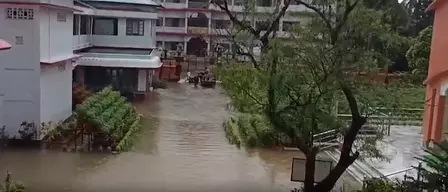 Assam Rain News