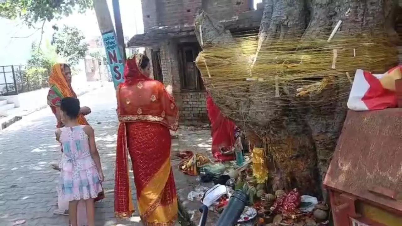 Kannauj News: कन्नौज में वट सावित्री व्रत पर सुहागिन महिलाओं ने बरगद वृक्ष की पूजा की Kannauj News: कन्नौज में वट सावित्री व्रत पर सुहागिन महिलाओं ने बरगद वृक्ष की पूजा की