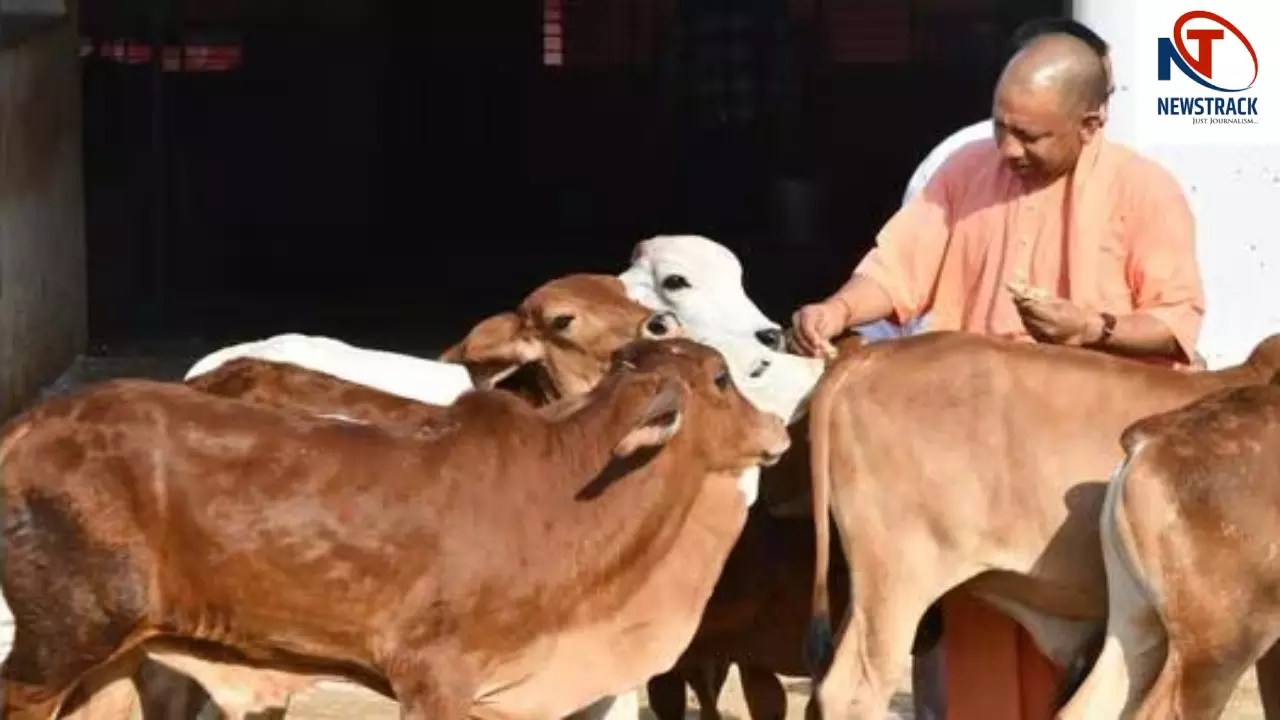 Yogi Adityanath
