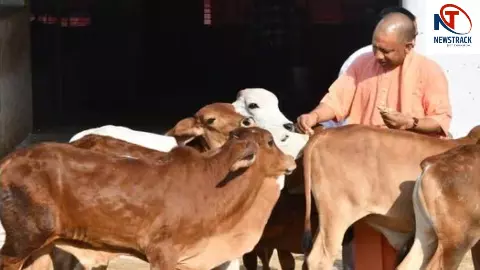 Yogi Adityanath
