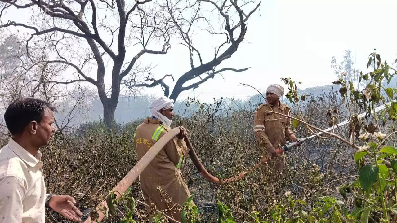 Aligarh News: बंद पड़ी साथा चीनी मिल में लगी आग, किसान नेताओं ने जताई साजिश की आशंका Aligarh News: बंद पड़ी साथा चीनी मिल में लगी आग, किसान नेताओं ने जताई साजिश की आशंका