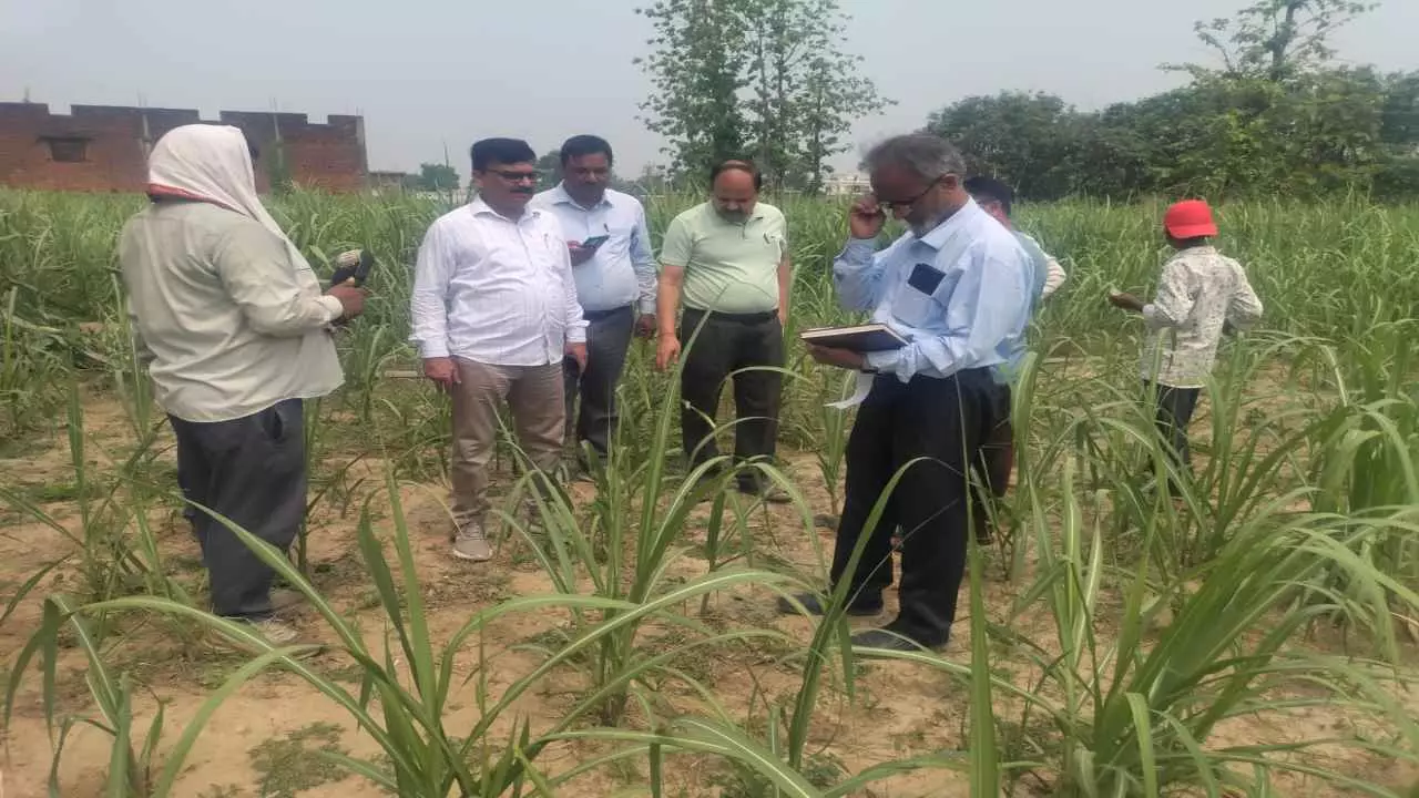 Kushinagar News Kushinagar News